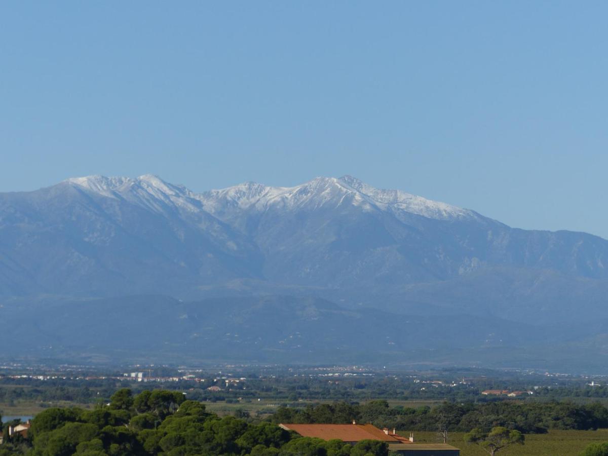 Apartament Albatros Canet-en-Roussillon Zewnętrze zdjęcie