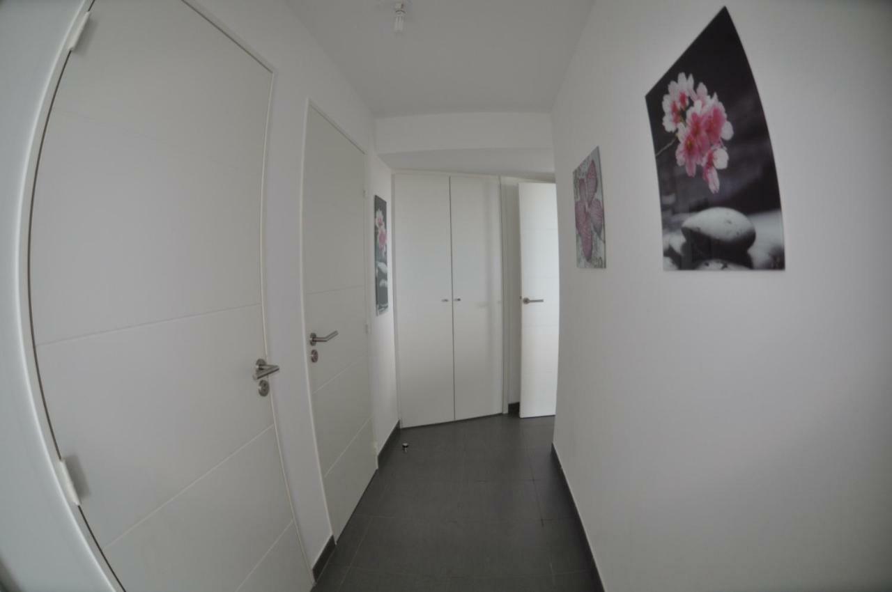 Apartament Albatros Canet-en-Roussillon Zewnętrze zdjęcie
